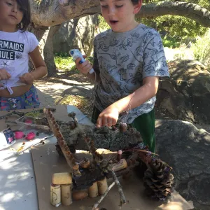 Fairy Homes and Nature Crafts Workshop