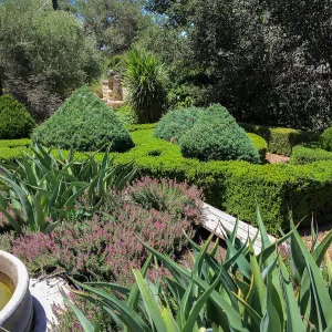 Clipped hedges at Leaning Pine Arboretum, Cal Poly San Luis Obispo