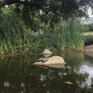 Bessie Bullard Pond