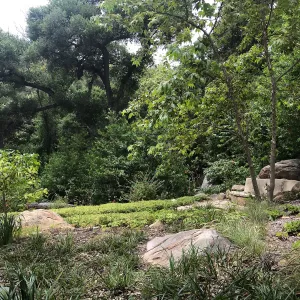 Campbell Bench