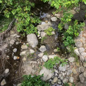 Mission Creek below the Campbell Bridge