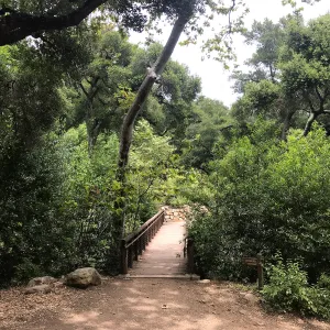 Campbell Bridge