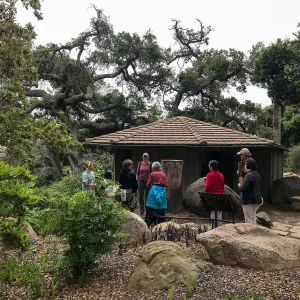 Building Habitat in Your Home Garden class with Stephanie Ranes