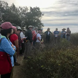 Carpinteria Bluffs and Marsh Field Trip