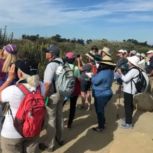 Carpinteria Bluffs and Marsh Field Trip