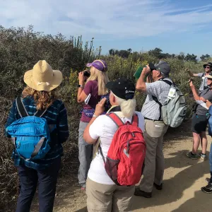 Carpinteria Bluffs and Marsh Field Trip