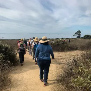 Carpinteria Bluffs and Marsh Field Trip