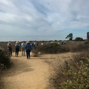 Carpinteria Bluffs and Marsh Field Trip