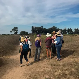 Carpinteria Bluffs and Marsh Field Trip