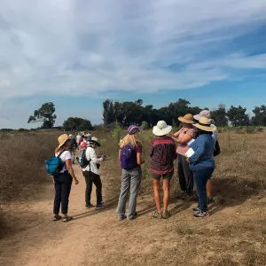 Carpinteria Bluffs and Marsh Field Trip