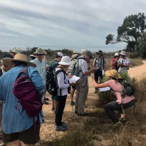 Carpinteria Bluffs and Marsh Field Trip