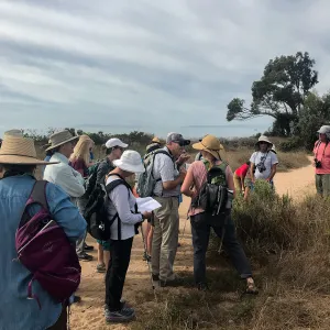 Carpinteria Bluffs and Marsh Field Trip