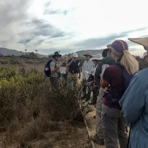 Carpinteria Bluffs and Marsh Field Trip