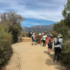 Carpinteria Bluffs and Marsh Field Trip