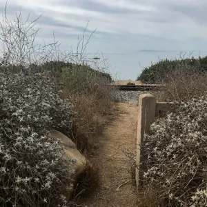 Carpinteria Bluffs and Marsh Field Trip