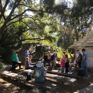 Herb Walk: Infused Oils & Salves