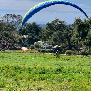 Hang glider landing in the Meadow