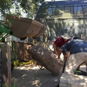 Repair of Garden Growers Lath House
