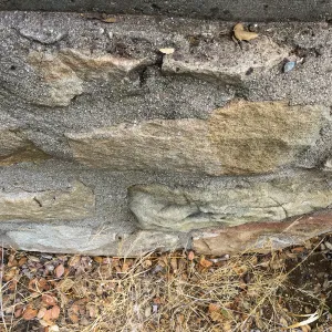 Foundation on west side of Garden Growers lath house