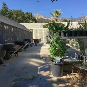 New Tables, Garden Growers Nursery