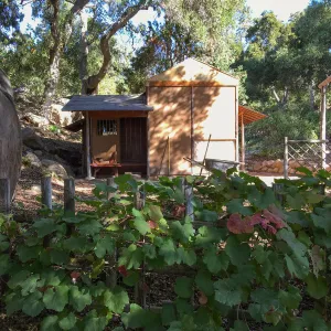 Tea House