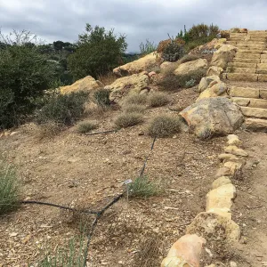 Baja Slope, south end, Island Section below PCC