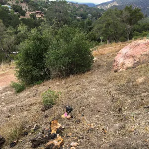 New Trail, Island Section below PCC