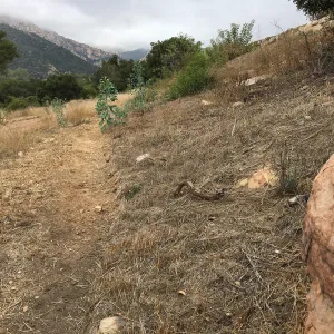 New Trail, Island Section below PCC