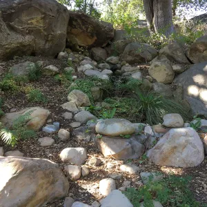 Tea House garden
