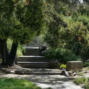 Clara Small Smith Steps
