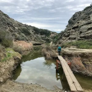Footbridge, Water Canyon
