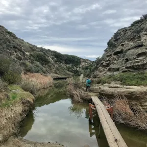 Footbridge, Water Canyon