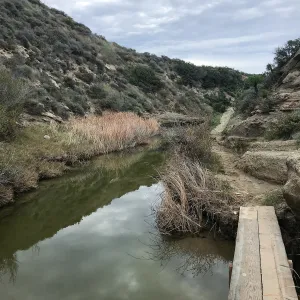 Footbridge, Water Canyon
