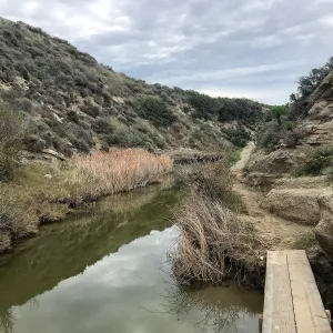 Footbridge, Water Canyon