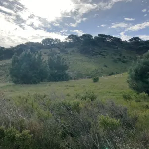 Torrey Pines, Hike to Torrey Pines