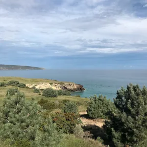 Torrey Pines and Toyon, Hike to Torrey Pines