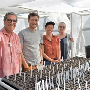 Sean Carson and volunteers working on the clarkia greenhouse project.