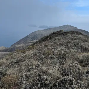 West Anacapa Island