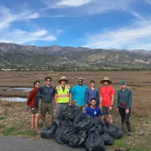 SBBG Conservation team works with partners from Tidal Influence and the Upper Salinas-Las Tablas Resource Conservation District to remove 520lbs of sea-lavender from experimental plots in Carpinteria Salt Marsh.