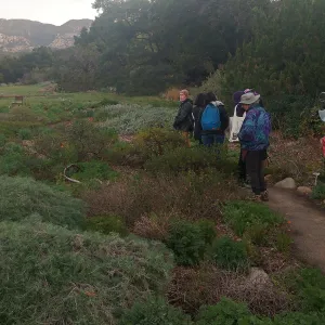 Audubon Society Christmas Bird Count at the Garden