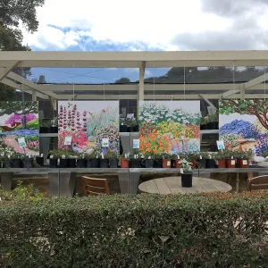 New signs at the Garden Growers Nursery