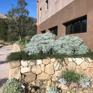 Island View Garden, planters on left side of PCC front door