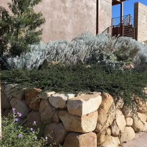 Island View Garden, planters on right side of PCC front door