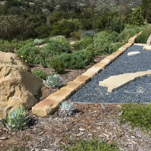 Island View Garden, Adenostoma Nicolas