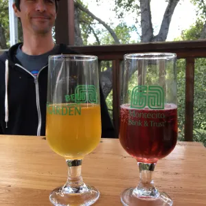 Beer Garden 2018