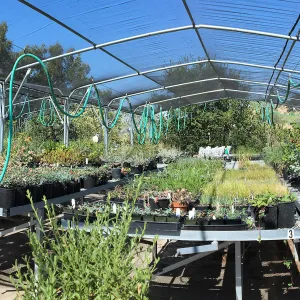 Horticulture nursery