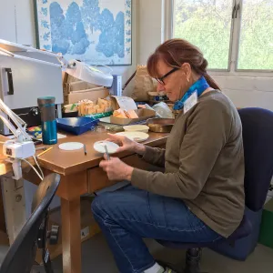 Karin Hodin cleaning seed at the Hort Unit