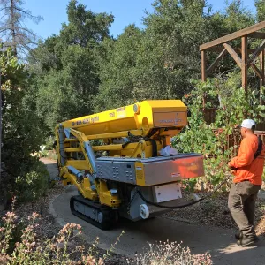 Crawler lift for removal of historic bigcone spruce at the cottage