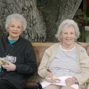 Seniors Free Day