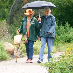 Seniors Free Day